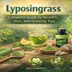 Lyposingrass