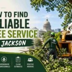Reliable Tree Service in Jackson
