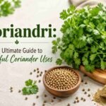 koriandri