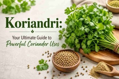 koriandri