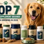 Top 7 Dog Supplement Brands Worth Knowing in 2026